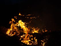 brand löpeld, brinnande pinjeskog i röken och flammor fotografering för bildbyråer brand löpeld, brinnande pinjeskog i röken och flammor fotografering för bildbyråer