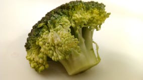 Brassica Oleracea - Brokkoliblume stockbild Brassica Oleracea - Brokkoliblume stockbild