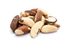 Brazil brasil nut nuts isolated white Background royalty free stock image Brazil brasil nut nuts isolated white Background royalty free stock image
