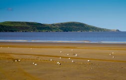 Brean Down Royalty Free Stock Photo Brean Down Royalty Free Stock Photo