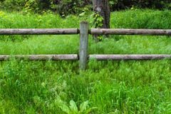 Bretterzaun mit grünem Gras ganz herum Stockfotos Bretterzaun mit grünem Gras ganz herum Stockfotos