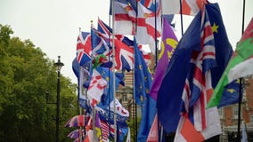 Brexit demonstration with flags waving in the breeze outside the Houses of Parliament
