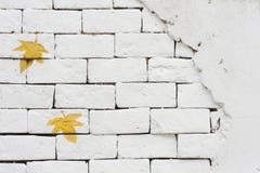 Brick Wall Royalty Free Stock Photography Brick Wall Royalty Free Stock Photography