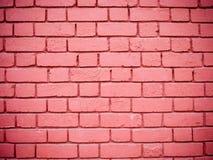 Brick Wall Royalty Free Stock Image