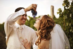 Bride And Groom Stock Images Bride And Groom Stock Images