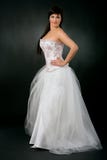 bride dress wedding withe στοκ εικόνα bride dress wedding withe στοκ εικόνα