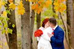 Bride and groom at the background of beautiful autumn landscape stock photography Bride and groom at the background of beautiful autumn landscape stock photography