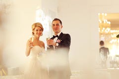 Bride and groom holding glasses of champagne Royalty Free Stock Photography Bride and groom holding glasses of champagne Royalty Free Stock Photography