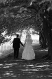Bride And Groom In The Park