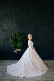 The bride in a magnificent, white, wedding dress with a long train. royalty free stock images The bride in a magnificent, white, wedding dress with a long train. royalty free stock images