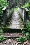 Bridge In The Jungle Stock Images Bridge In The Jungle Stock Images