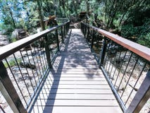 Bridge in Springbrook Park in Australia. Trekking circuit stock image Bridge in Springbrook Park in Australia. Trekking circuit stock image