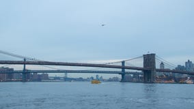 Bridges in New York City royalty free stock photo Bridges in New York City royalty free stock photo