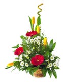 Bright Flower Bouquet Stock Image