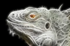 Bright fractal image of an iguana lizard stock illustration Bright fractal image of an iguana lizard stock illustration