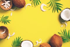 Bright yellow tropical background with coconuts and leaves royalty free stock photos Bright yellow tropical background with coconuts and leaves royalty free stock photos