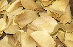 Brigidini Brigidini