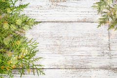 Brindilles de Thuja sur le fond en bois blanc avec la neige et le bokeh, l'espace de copie photo stock Brindilles de Thuja sur le fond en bois blanc avec la neige et le bokeh, l'espace de copie photo stock