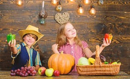 Bringt die Landwirtschaft Kindern bei, wohin ihre Nahrung von kommt Familien-Bauernhof Geschwister, die Spa? haben Kinder, die Ba stockfotografie Bringt die Landwirtschaft Kindern bei, wohin ihre Nahrung von kommt Familien-Bauernhof Geschwister, die Spa? haben Kinder, die Ba stockfotografie