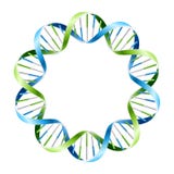 Brins d'ADN sur le cercle. Vecteur. illustration stock Brins d'ADN sur le cercle. Vecteur. illustration stock