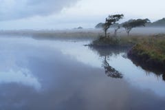 Broad Pool in the Mist royalty free stock photography Broad Pool in the Mist royalty free stock photography