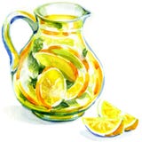 Brocca di limonata con la menta. pittura dell'acquerello illustrazione di stock Brocca di limonata con la menta. pittura dell'acquerello illustrazione di stock
