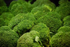 Broccoli Royalty Free Stock Image