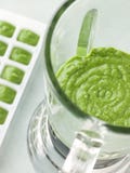 Broccoli and Spinach baby food in blender