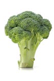Broccoli Vegetable Stock Photos