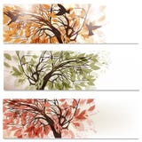 Brochure Vector Set In Floral Style With Abstract Trees Stock Photo