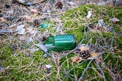 Broken Beer Bottle On The Ground In The Forest. Stock Image