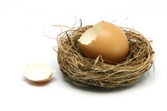 Broken Egg In Nest Stock Photos Broken Egg In Nest Stock Photos