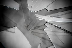 Broken Glass Grayscale Royalty Free Stock Image