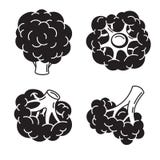 Brokuł ikony set, prosty styl ilustracja wektor Brokuł ikony set, prosty styl ilustracja wektor