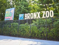 Bronx-Zoo stockfoto Bronx-Zoo stockfoto
