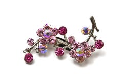Brooch dentellare Fotografia Stock Brooch dentellare Fotografia Stock
