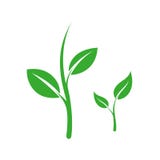 Brote verde con las hojas ilustración del vector Brote verde con las hojas ilustración del vector