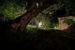 Brouillard de nuit dans le village mystérieux Clair de lune Allumage vers le haut de l'oscillation près de l'arbre dans la cour L Photo stock Brouillard de nuit dans le village mystérieux Clair de lune Allumage vers le haut de l'oscillation près de l'arbre dans la cour L Photo stock