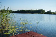 brown drewniana deska przeciw niebieskiemu niebu, woda, zieleni płochy i las i obrazy stock brown drewniana deska przeciw niebieskiemu niebu, woda, zieleni płochy i las i obrazy stock