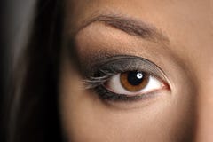 Brown Eye Smoky Makeup royalty free stock images Brown Eye Smoky Makeup royalty free stock images