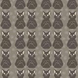 Brown and Gray Cute Stretching Cats Vector Pattern stock illustration Brown and Gray Cute Stretching Cats Vector Pattern stock illustration