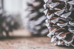 Brown and Gray Decorative Pine Cone Royalty Free Stock Photos Brown and Gray Decorative Pine Cone Royalty Free Stock Photos