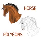Brown horse head polygons coloured and outline vector vector illustration Brown horse head polygons coloured and outline vector vector illustration