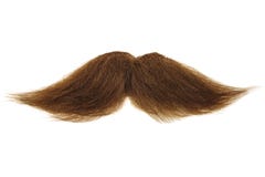 Brown mustache isolated on white