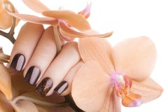 Brown-Nagellack auf den Nägeln stockfotos Brown-Nagellack auf den Nägeln stockfotos