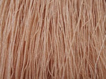 Brown ryż wysuszony kluski zdjęcia stock Brown ryż wysuszony kluski zdjęcia stock