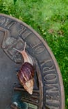 Snail crawling to edge of sundial stock image Snail crawling to edge of sundial stock image