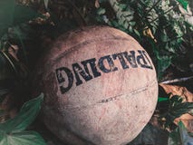 Brown Spalding Ball on Green Leafed Plants Stock Images Brown Spalding Ball on Green Leafed Plants Stock Images