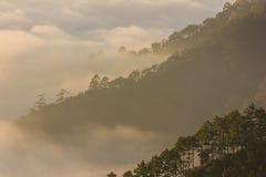 Brume et montagne de matin image stock Brume et montagne de matin image stock