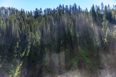 Brume fine au-dessus de la rivière Yellowstone image stock Brume fine au-dessus de la rivière Yellowstone image stock
